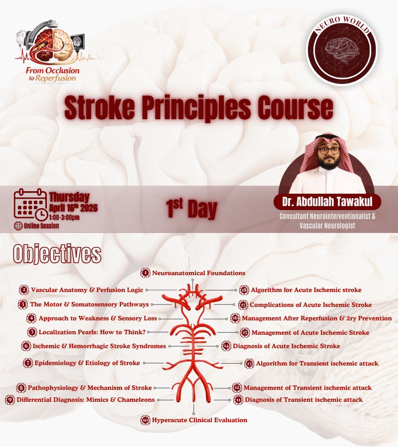Stroke Principles Course: From Occlusion to Reperfusion