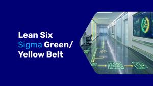 Lean Six Sigma Green/Yellow Belt